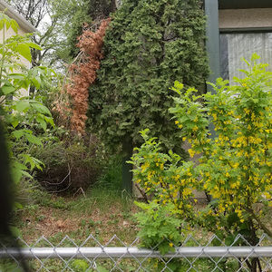 Meet your Posher, Issouf